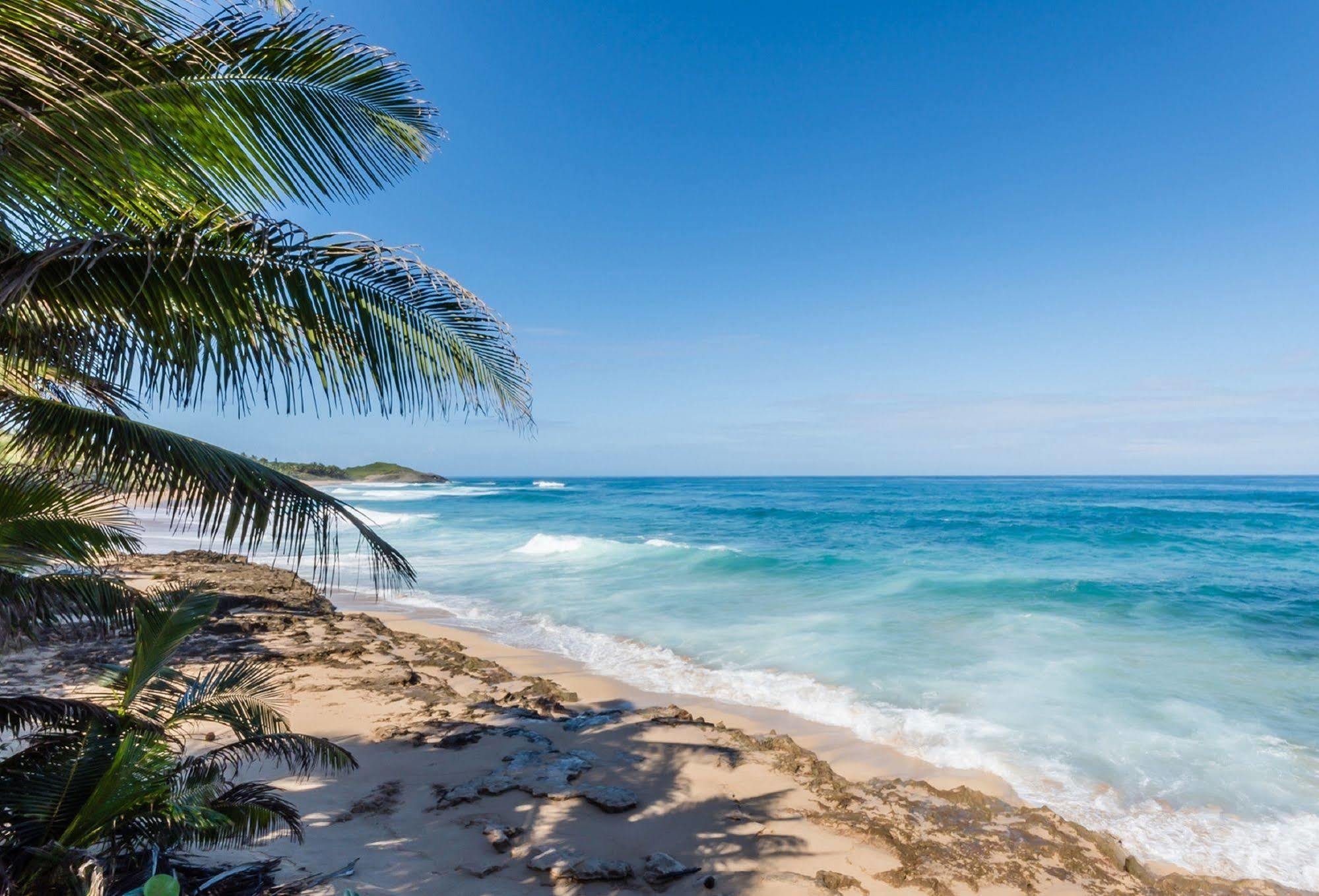 Ventana Al Atlantico At Arecibo 681 Ocean Drive Apartment Islote Ngoại thất bức ảnh