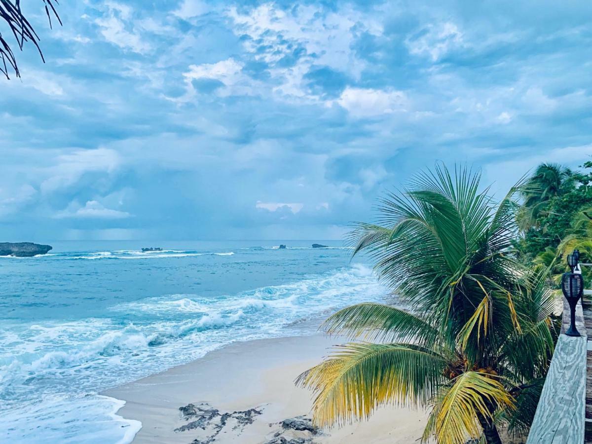 Ventana Al Atlantico At Arecibo 681 Ocean Drive Apartment Islote Ngoại thất bức ảnh