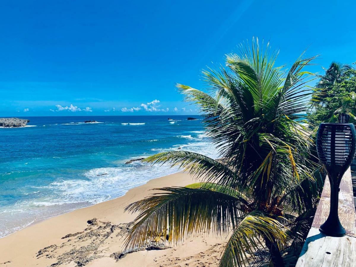 Ventana Al Atlantico At Arecibo 681 Ocean Drive Apartment Islote Ngoại thất bức ảnh